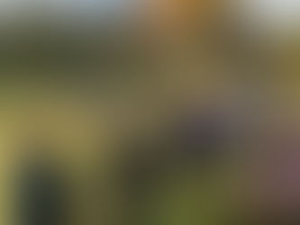 ウォーキング講座【11/26(水)開催】