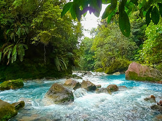 Rio celeste hugged by a lush jungle