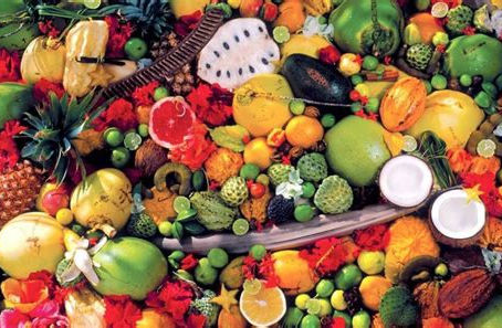 Toxins and the benefits of detoxifying through a fruit-only fast. Learn how to eliminate harmful substances and restore your well-being.