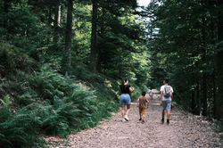 Lac des corbeaux-16 août 2023-174944