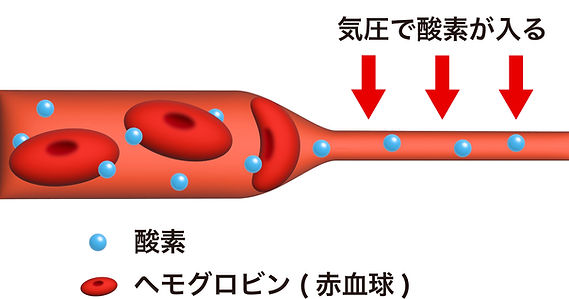 溶解型酸素.jpg