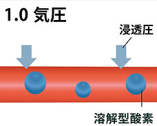 1.0気圧.jpg