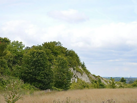 image (1).png