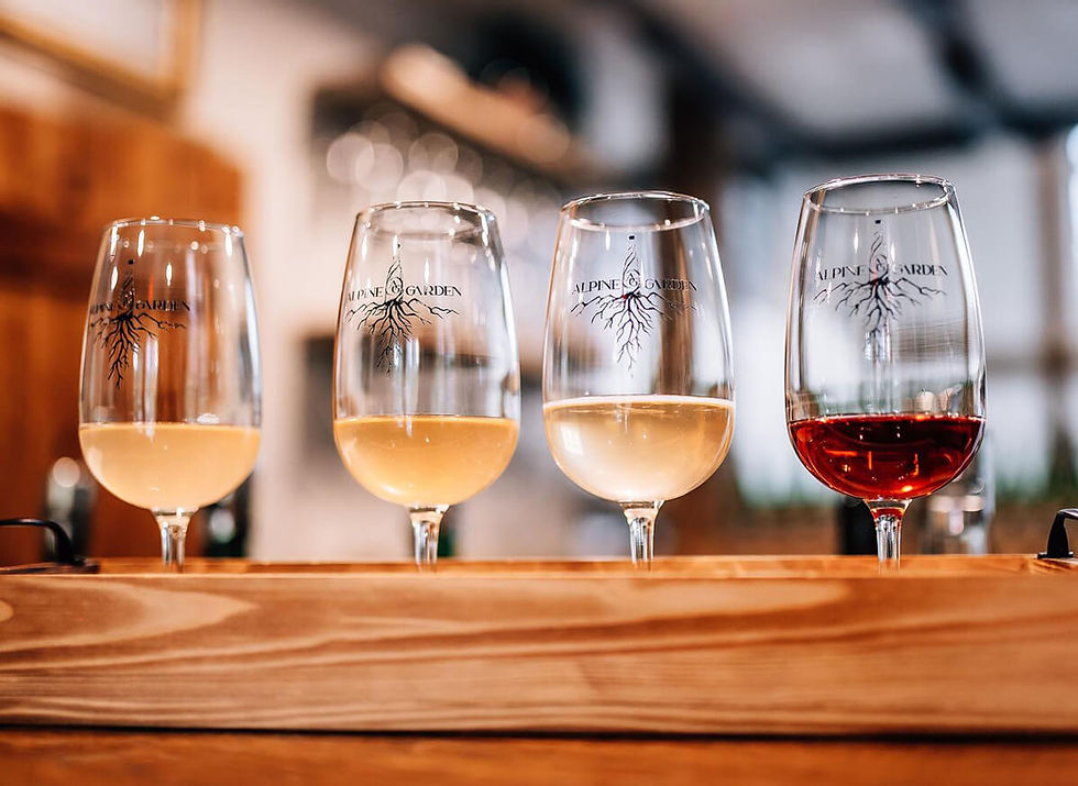 Harvest time nears, photo by Squamscott Vineyard & Winery