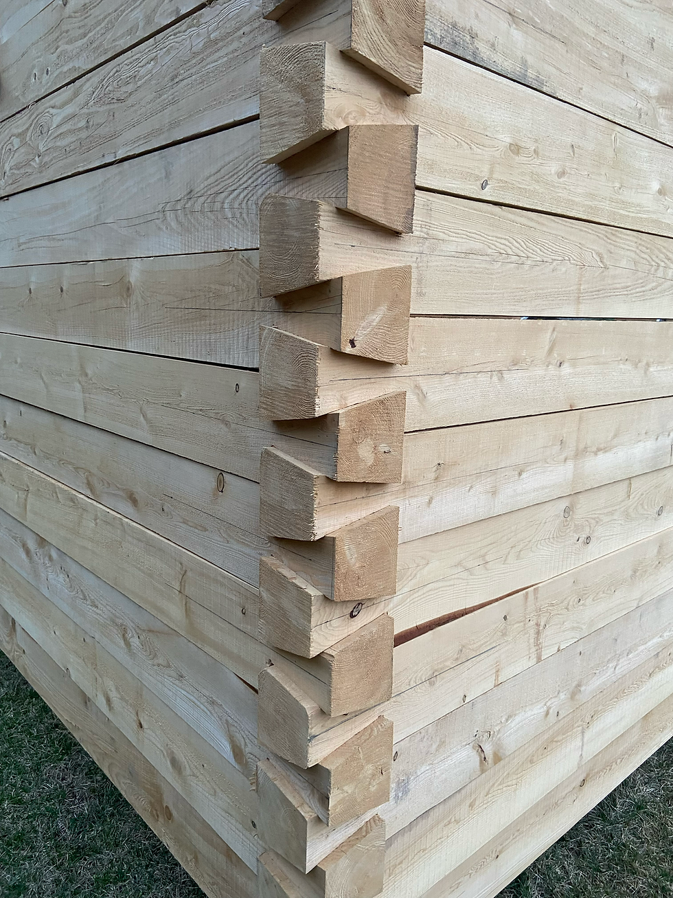 Close-up detail of a dovetailed corner joint on a log cabin wall