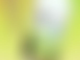 Coastal Sun greenhouse pre-roll 10 pack minis Applescotti container and pre-roll floating over orange, yellow, and green gradient