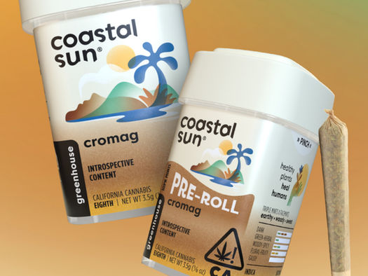 Coastal Sun Cromag greenhouse eighth and pre-roll 10 pack containers and pre-roll floating over yellow, brown, and mint green gradient