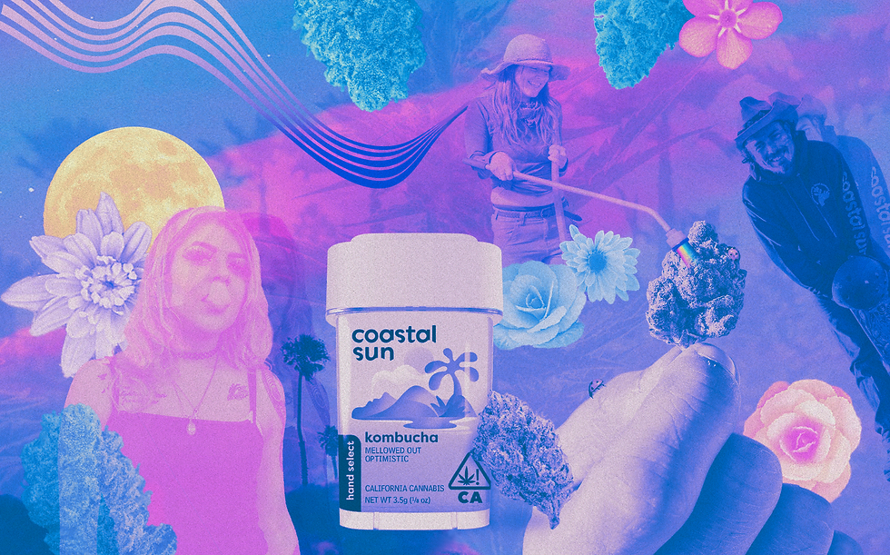 CoastalSun_RisoCollege_Kombucha.png