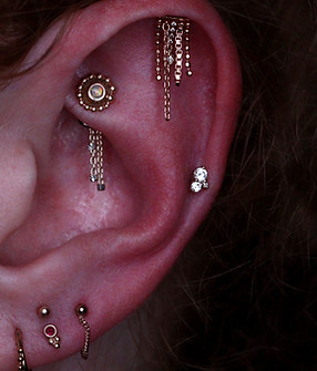 Rook Piercing_Helix Piercing_Kelly Bee_G