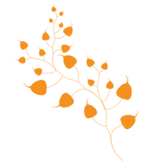 Ashwattha vine illustration