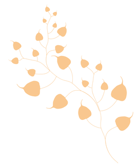 Ashwattha vine illustration