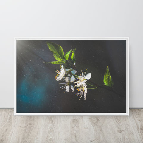 custom photography art