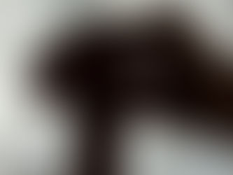 Ebeveynlik Nerede Başlar?