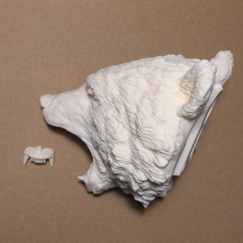 ヒグマ | 竹谷隆之通販 本家 竹通