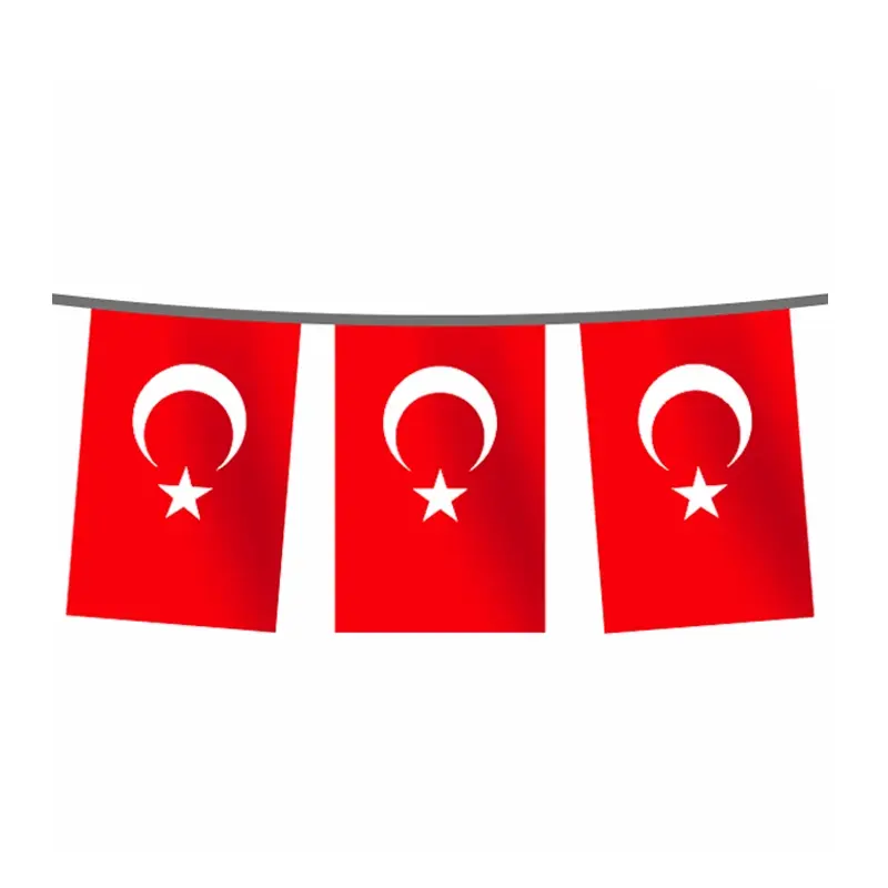 Küçük resim: İpe Dizili Türk Bayrakları