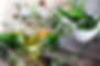 why-use-herbal-medicine.jpg