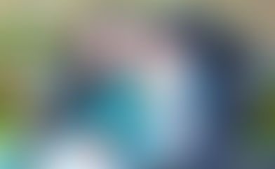 What is Intellectual Disability?