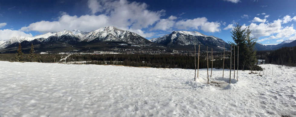 WeArePanoramaCropped