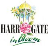 Harrogate in Bloom logo