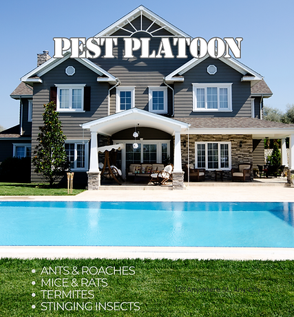 Pest Platoon residential pest control for homes in Delaware County and Main Line PA ants mice termites stinging insects