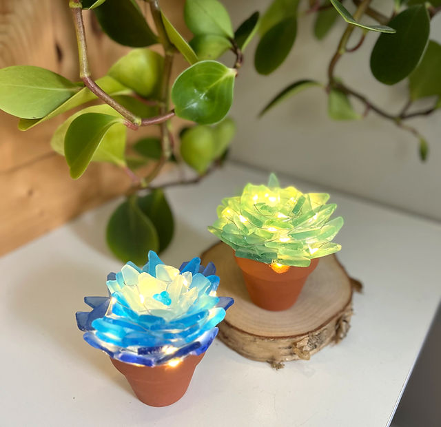 Sea Glass Succulents Workshop | Right Mind Syracuse