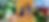 Bloomsbury Iowa Flower Fest Banner-8.png