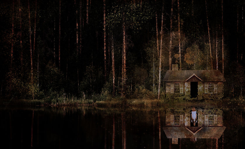 Sallow Cover - print.jpg