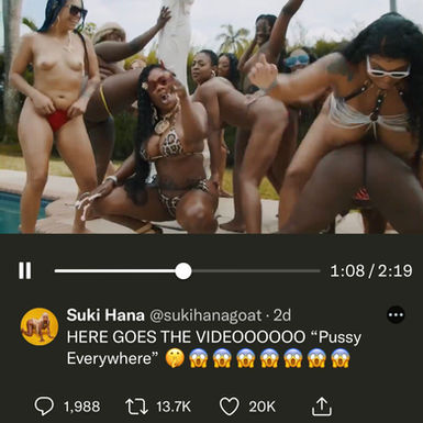 Porn Star Suki Hana Breaks the Internet with New Music Video Pu$$y Everywhere