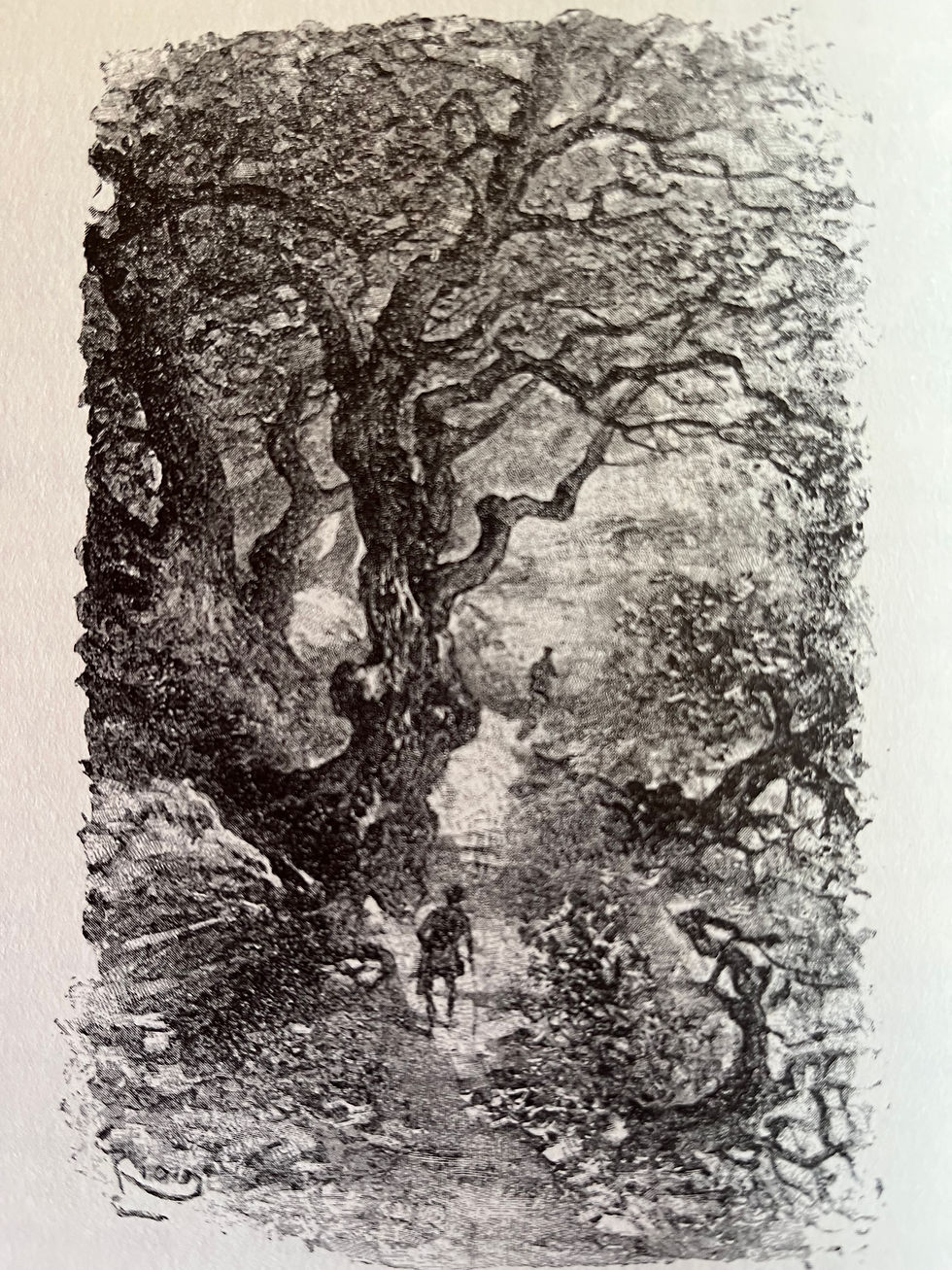 Illustration from 'Sur L'Eau'