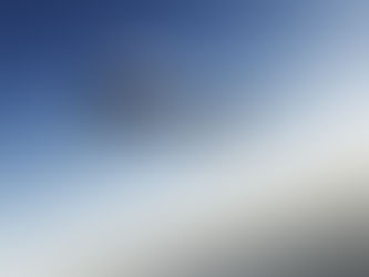 Il pilota fece cadere l’aereo