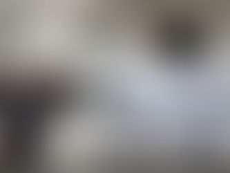 La carica ‘innocua’ dei 300