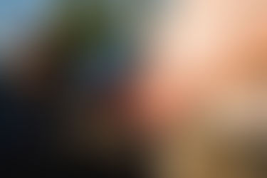 Il branco dietro le sbarre