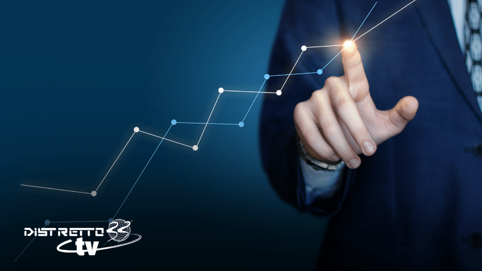 Alpha Network: l'importanza dell'organizzazione e formazione aziendale: