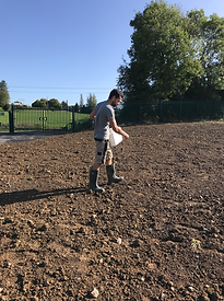 gardens for wildlife, native wildflower meadow, garden design, meadow creation, landscaping