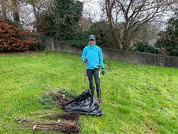 native tree planting, garden landscaping, green business, sustainability, woodland garden, native hedgerow, fruit orchard