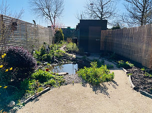 dublin landscaper, Wildlife garden, garden design, garden landscaping, pollinator garden, gardens for wildlife, garden makeover, wildlife pond, woodland garden