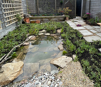 gardens for wildlife, wildlife pond, garden design, pond landscaping