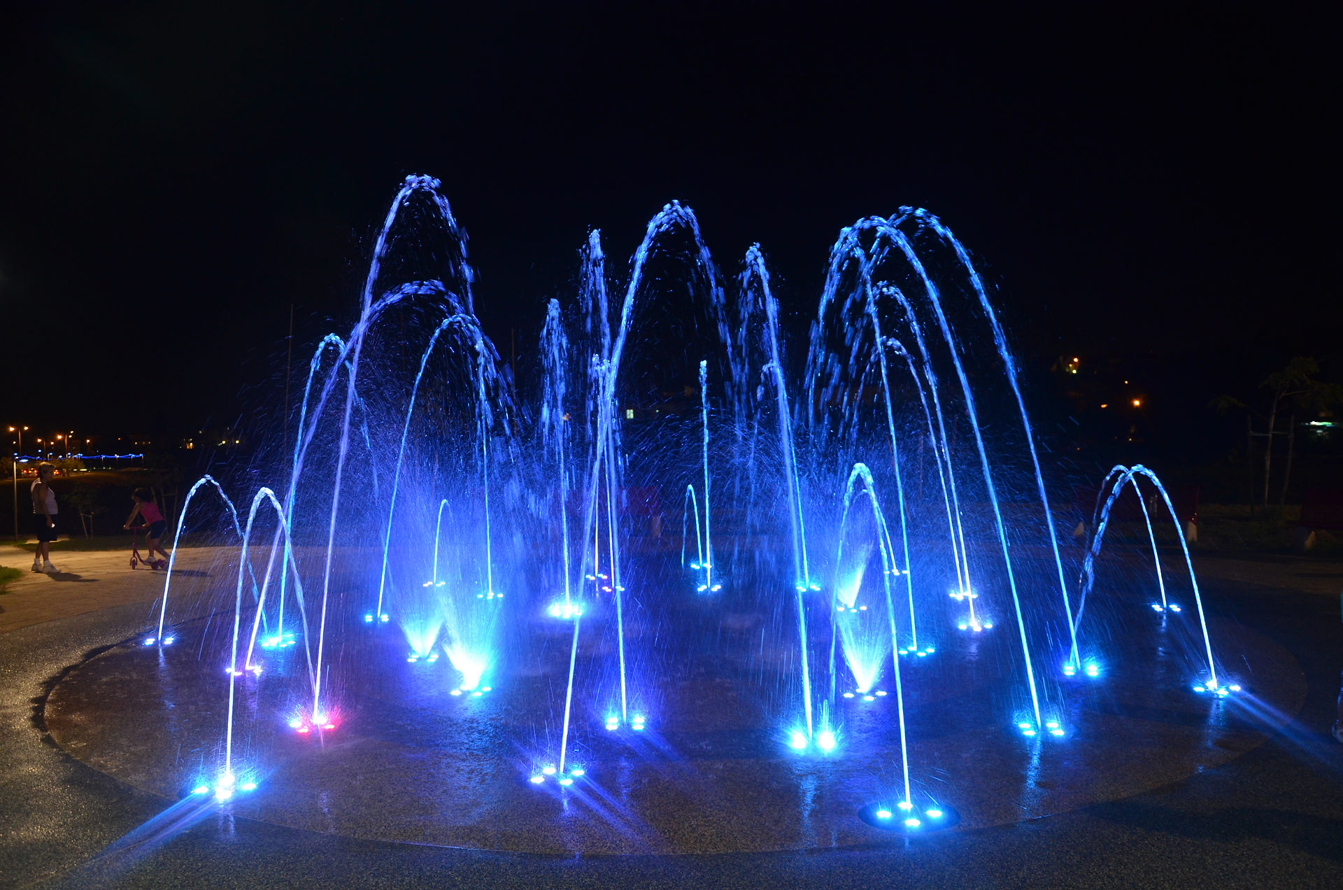 DSC_4414