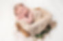 022-copy.jpg