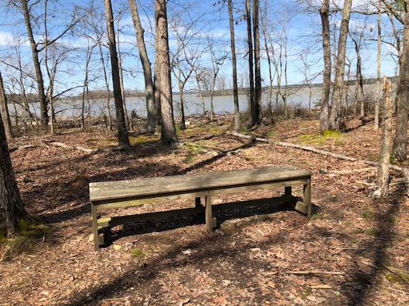 Top 5 Must Do's | High Rock Lake Life