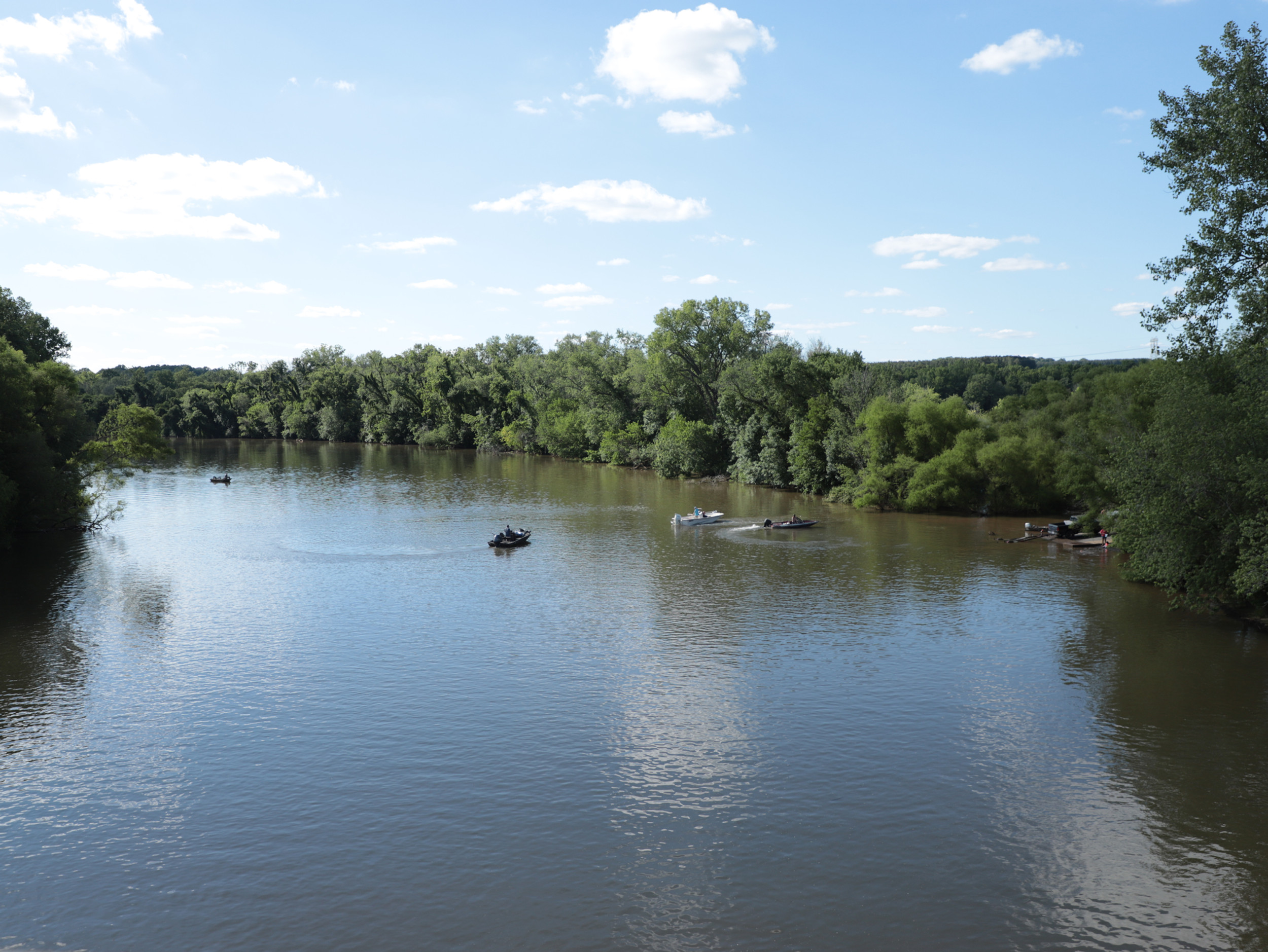 Yadkin River High Rock Lake Life