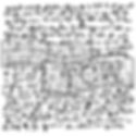 12 x 12 Believe Script Text