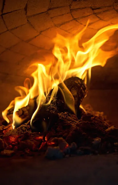 Home Denly Gardens This snapshot of the website 'denlys.com' was generated on june 07 2011 00:11. home denly gardens