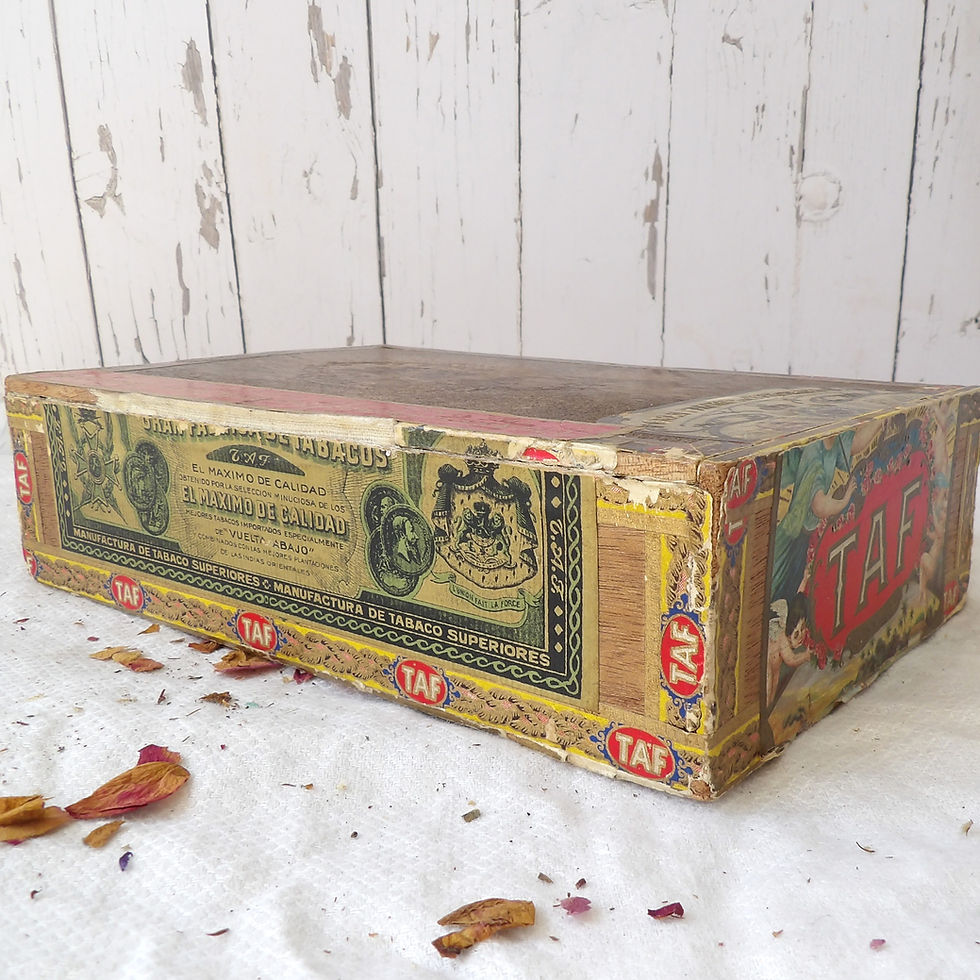 Thumbnail: TAF antique cigar box with original labels
