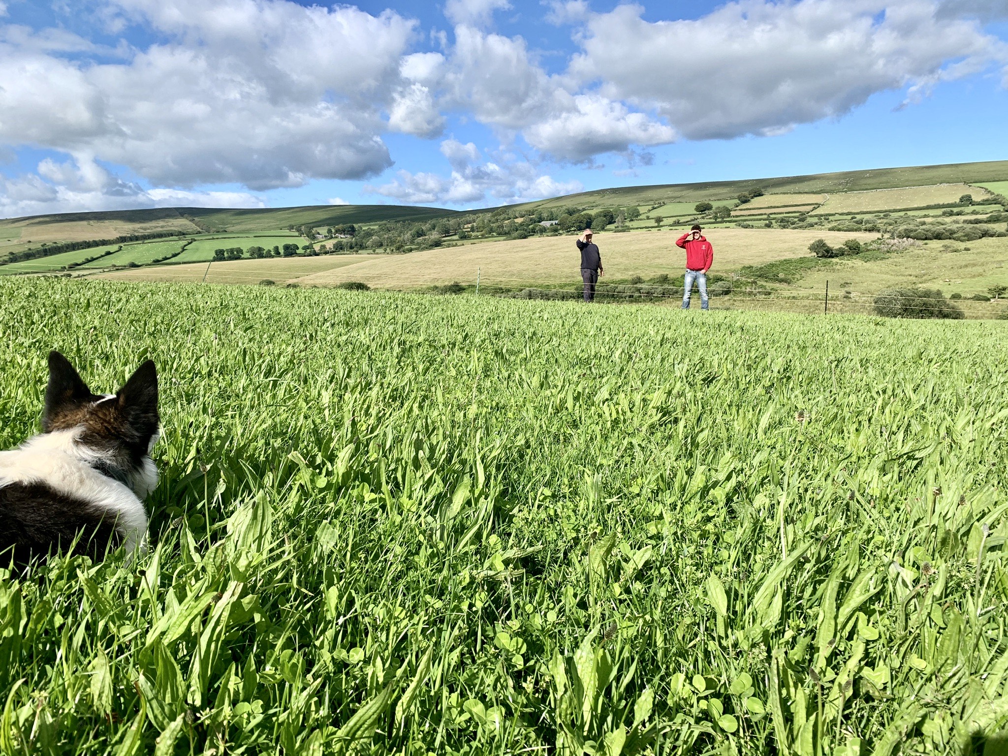Visiting the family farm in Dartmoor - a rare thing in 2020