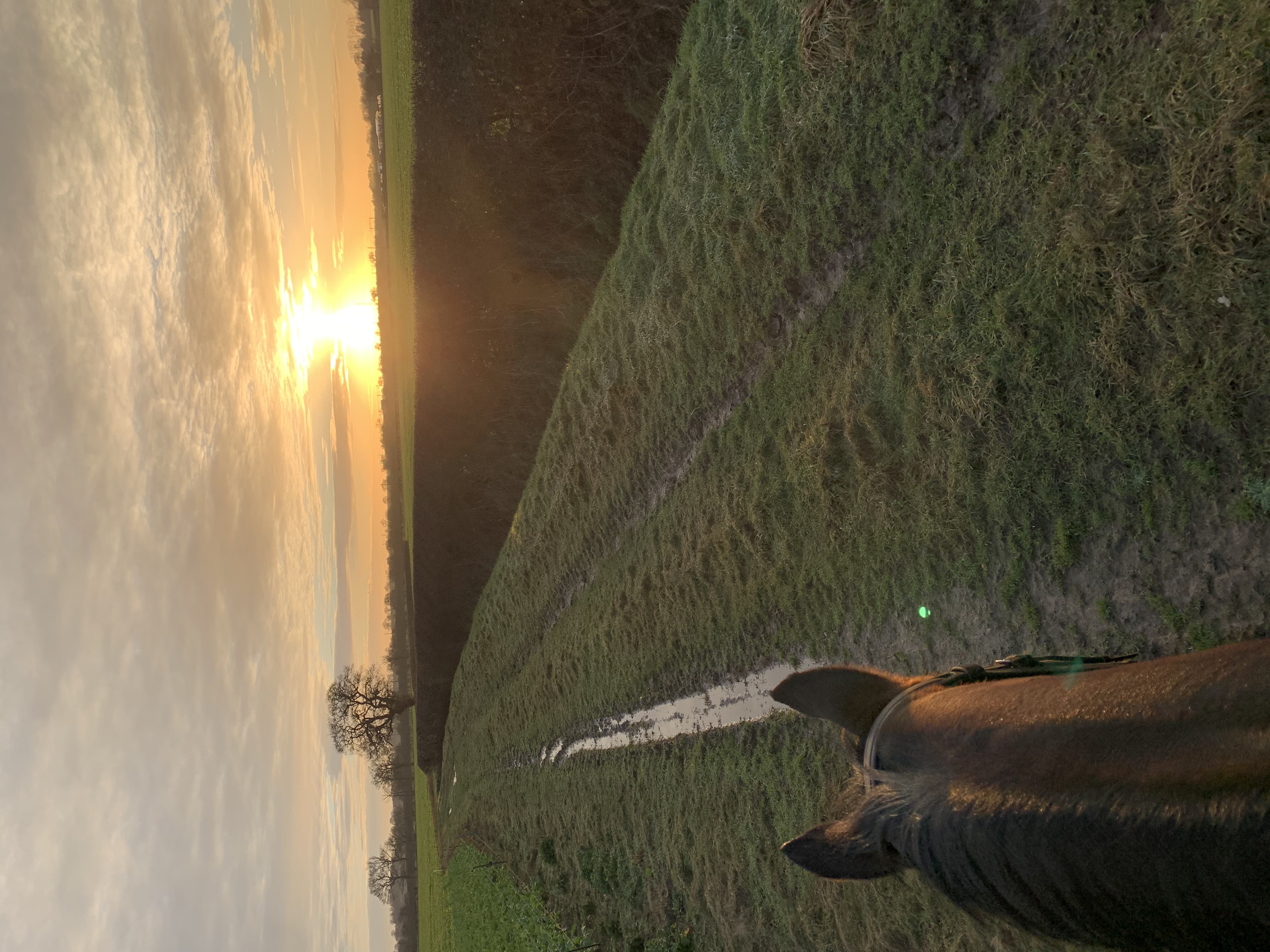 Sunset Rides