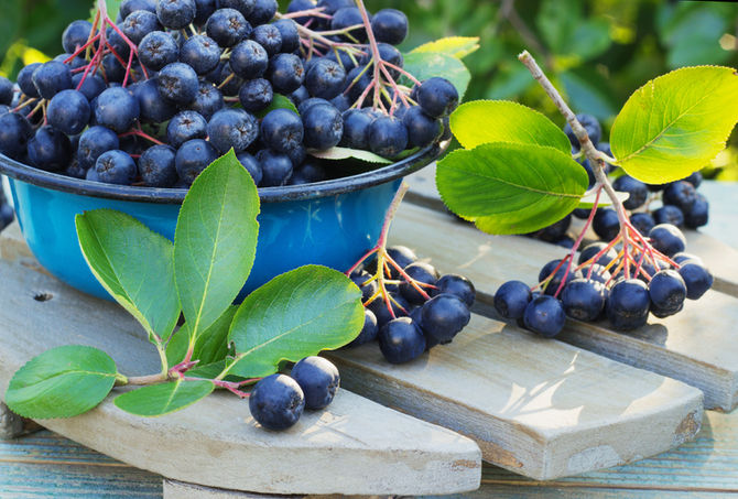 Aronia wspomaga oczy