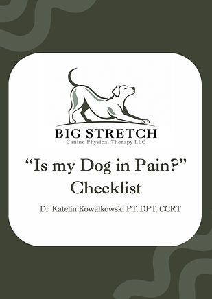 Is My Dog in Pain Checklist Cover Photo