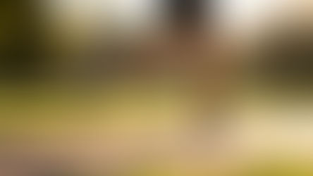 Close-up of a person's legs running on a park path during golden hour.