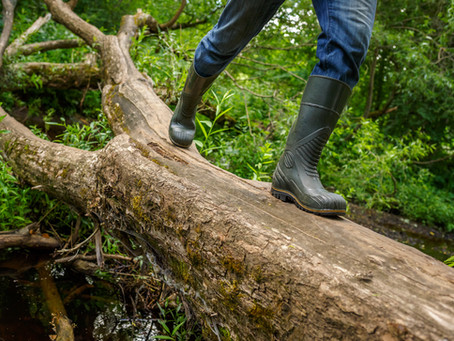Hikers & Hunters Beware